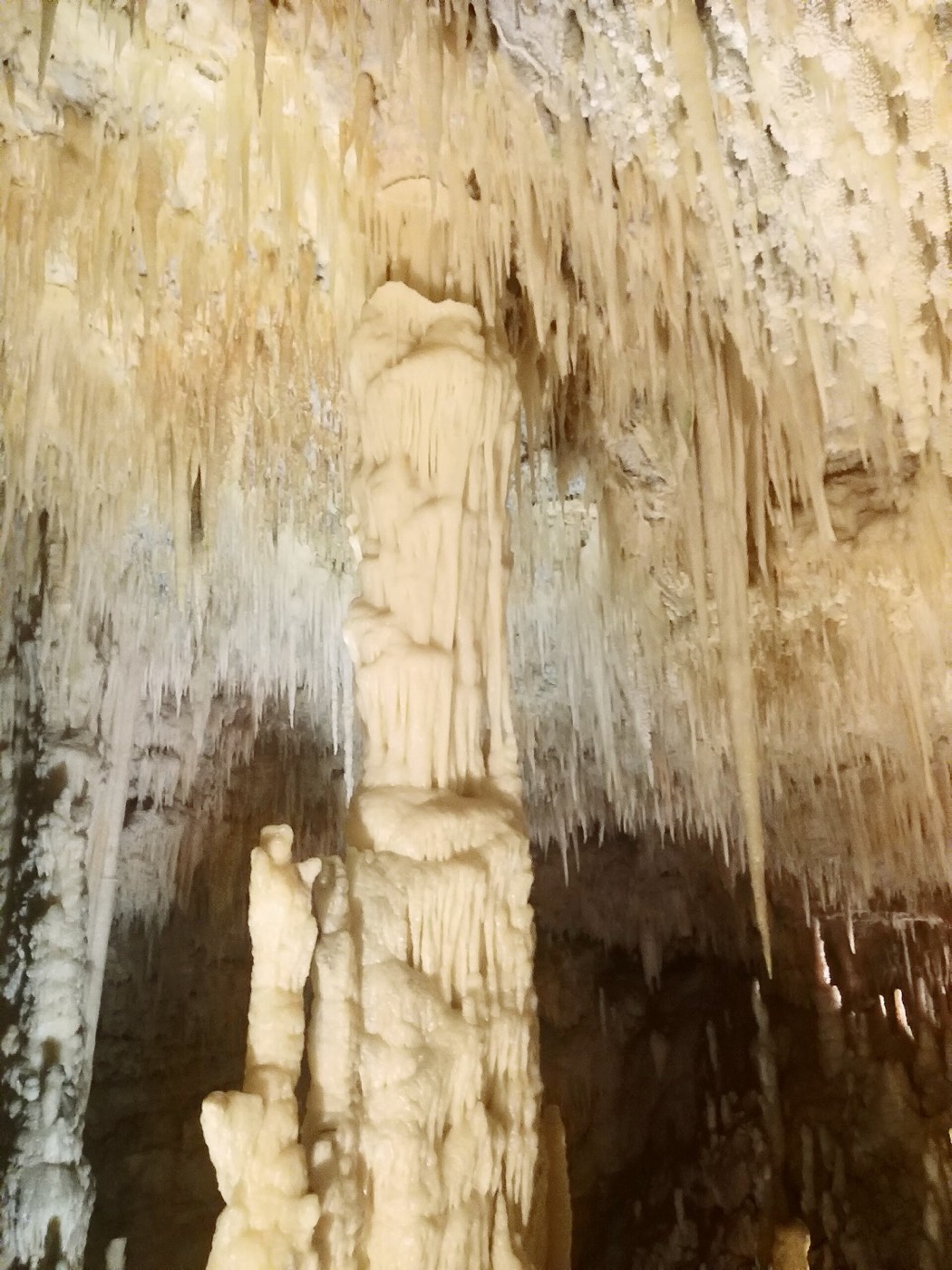 Le concrezioni di alabastro delle Grotte di Castellana