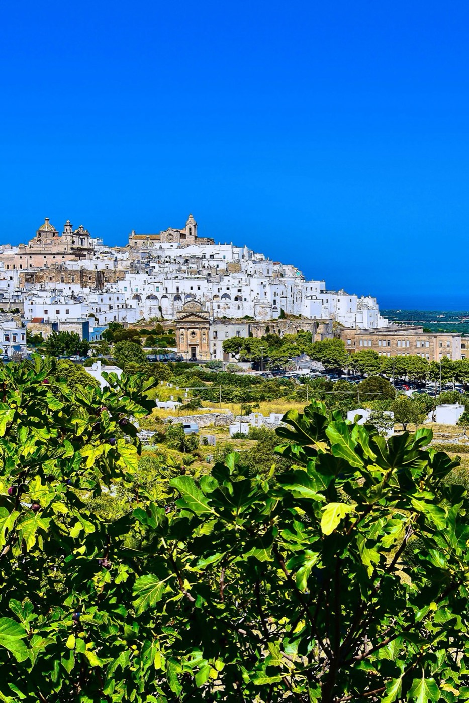 Ostuni, la Citt&agrave; Bianca: cosa vedere in una giornata